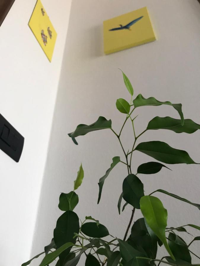B&B Dal Giotu Gravellona Lomellina Exteriör bild